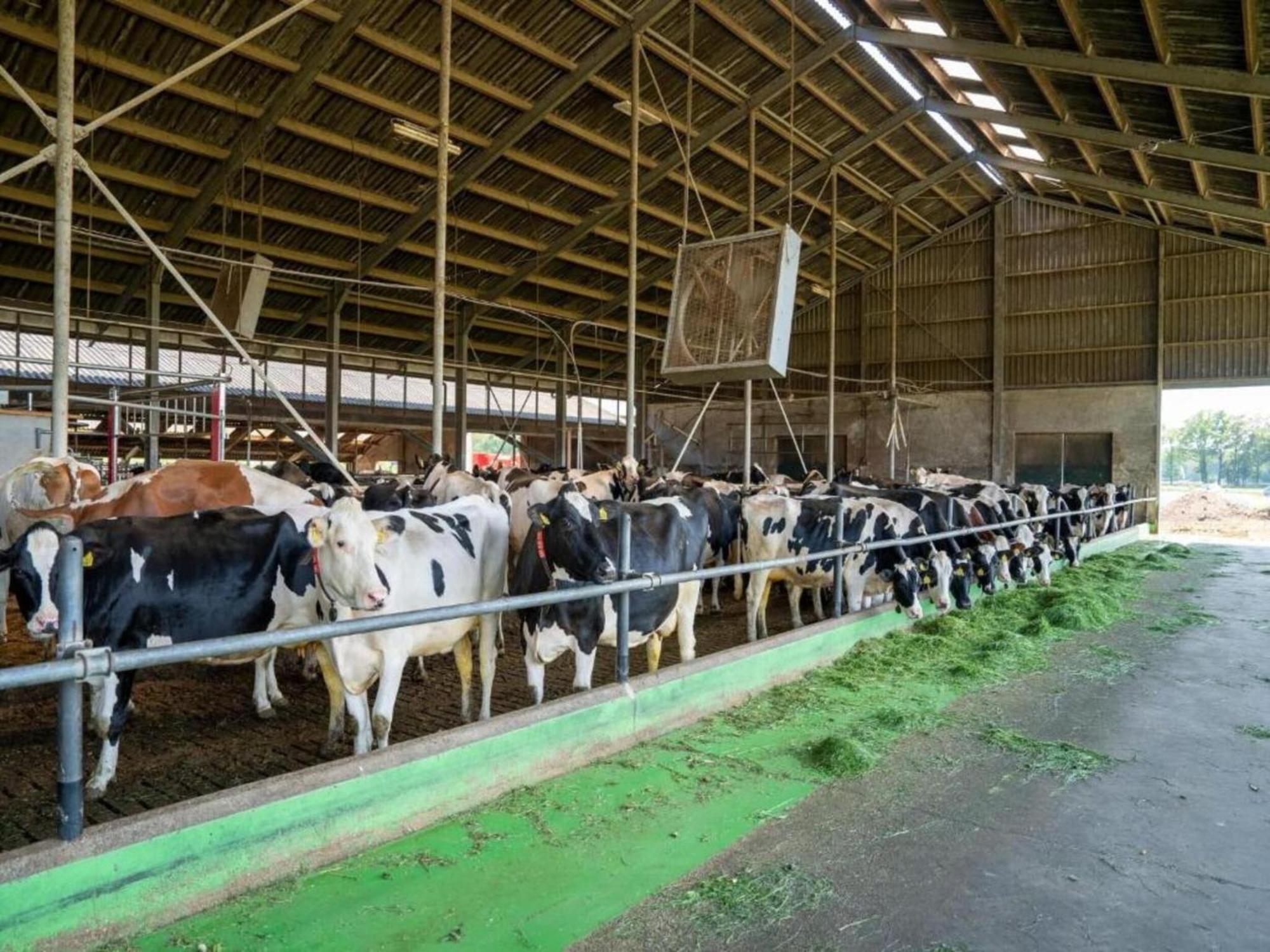 Вилла Monumental Farm In The Ash Landscape Geesteren  Экстерьер фото